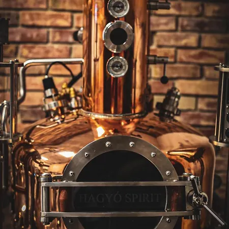 Hotel Dwór Kukuczka *